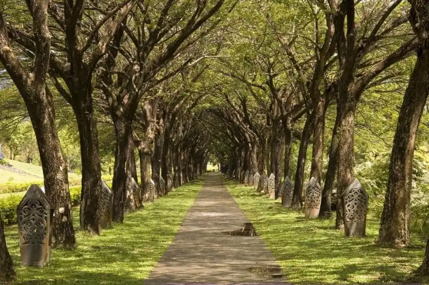 السياحة في بتايا , السياحة في تايلاند السياحة في بتايا , السياحة في تايلاند