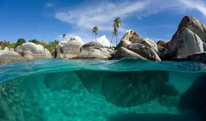 الجزر الألف (1)