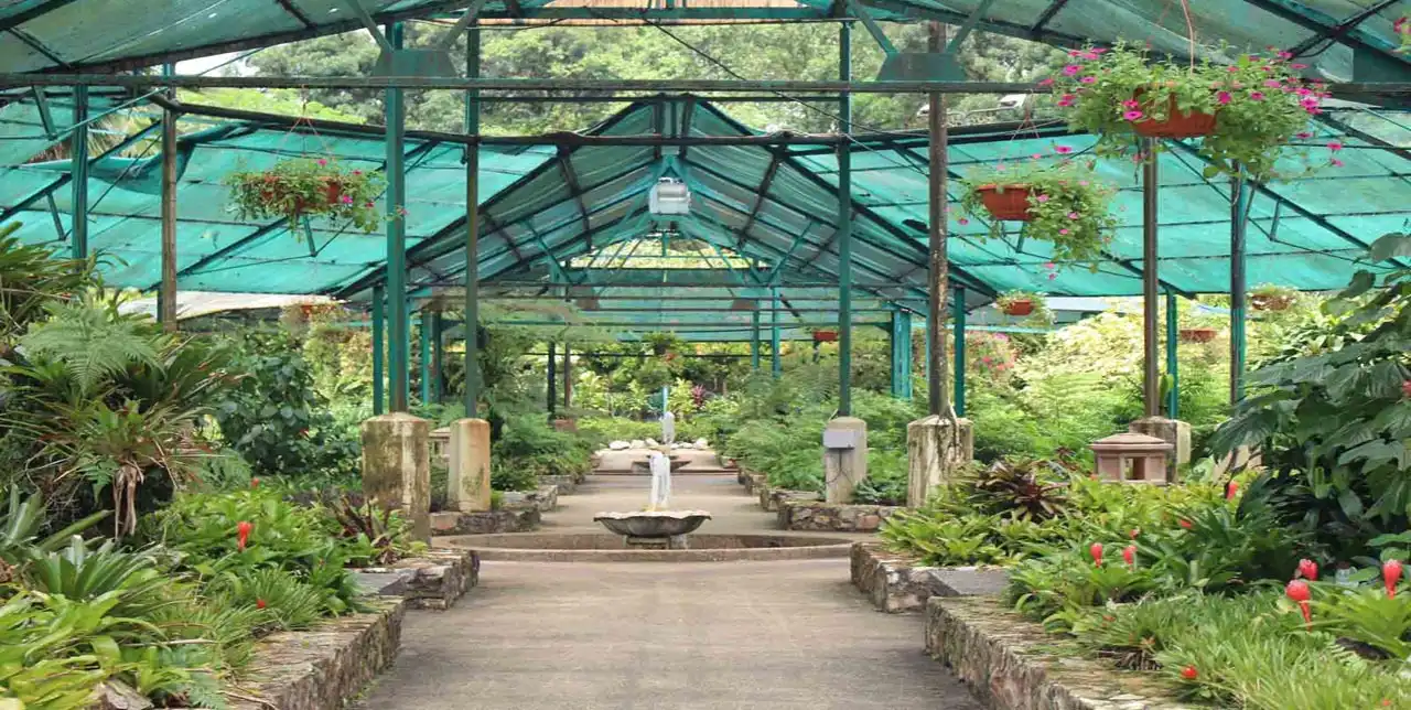 الحديقة النباتية