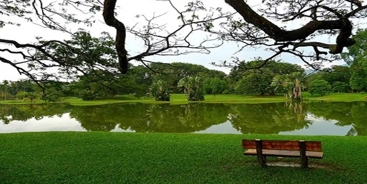 بحيرة تاسيك بردانا كوالالمبور