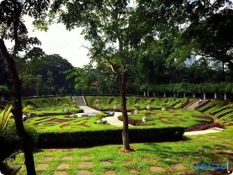 بحيرة تاسيك بردانا كوالالمبور (3)