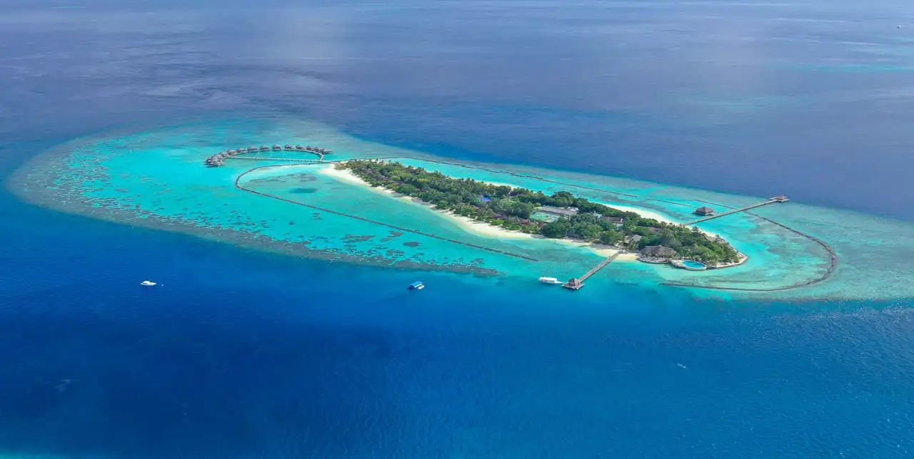 جزيرة لافياني